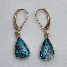 Load image into Gallery viewer, blue and black spiderweb turquoise dangle earrings
